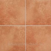 Напольная клинкерная плитка и ступени Euramic Cadra cotto фото