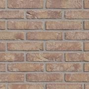 Кирпич ручной формовки Hoevestijl GS фото