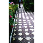 Тротуарная плитка Клевер Краковский * 300х300 / 110х150 фото