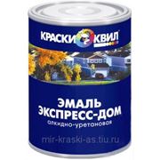 ЭМАЛЬ АЛКИДНО-УРЕТАНОВАЯ «ЭКСПРЕСС-ДОМ» фото