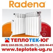 Радиаторы отопления алюминиевые, биметаллические Radena/ Радена (Италия) фото