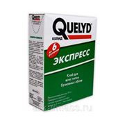 Клей Quelyd Экспресс фото