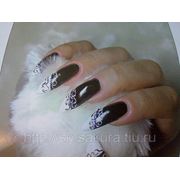Роспись ногтей (Nail art) фото