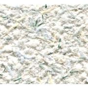 Жидкие обои Silkcoat Elegant Palmiye 6 фото