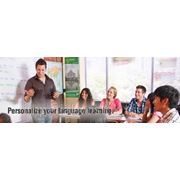 Языковые курсы в США (International Language Schools of Canada (USA branch) фото