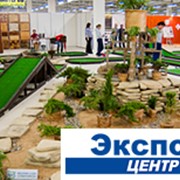 Организация выставок фото