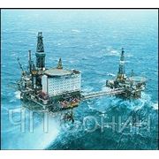 Работа учеба ПМЖ в Норвегии фото