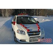 Аренда Chevrolet Aveo фото