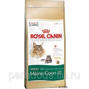 Корм Royal Canin Д/Кошек Мэйн Кун 2кг. фото