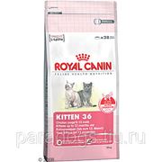 Корм Royal Canin Д/Кошек Киттен 4кг. фото