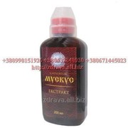 Мускус экстракт настойка бобровой струи бобра мускус castoreum hương hải ly 海狸 달걀 фото