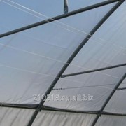 Пленка тепличная 12м фото