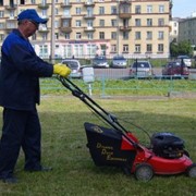 Комплексная уборка территорий фото