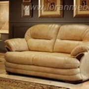 Диваны кожаные фото