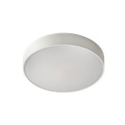 Светильник накладной/подвесной Rundo 1x60W+1x22W 2GX13 19-250K-1U1WE W фото