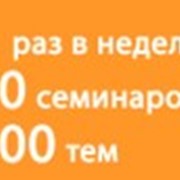 Проведение семинаров на оффшорную тематику фото