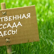 Ландшафтный дизайн фото