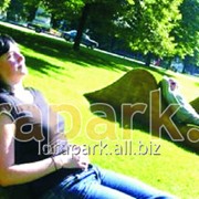 Каркас топиарной фигуры Скамейка Холм фото