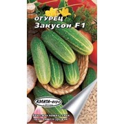 Огурец Закусон F1 фото