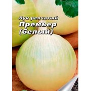 Лук репчатый фото