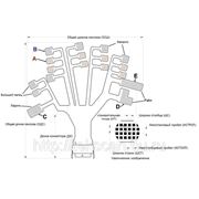 4256E фото