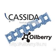 CASSIDA CHAIN OIL 150 1000 SPRAY Пищевое масло для цепей, синтетика NSF H1 фото