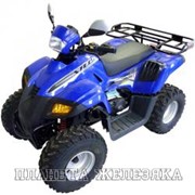 Квадроцикл STELS ATV 110 DINLI AB66C фото