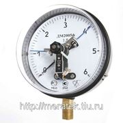 ДМ2005 Сг (0...16) кгс/см2 кл.1,5 исп.V IP53 фото