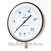 ДМ8010-У (0...160) кгс/см2 фото