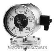 RCh 100-1 (0...1000) кгс/см2 2-стр.min/Max М20х1,5 фото