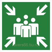 Знак «Пункт (место) сбора» фото