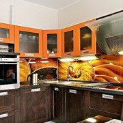 Фотопечать на стеновой панеле 4 фото