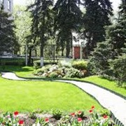 Озеленение территорий фото