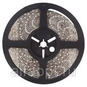 Светодиодная лента Geniled GL-60SMD5630WS фото