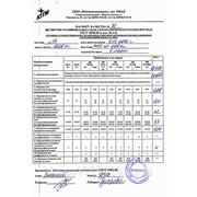 Дисперсия ПВА Д51В фото