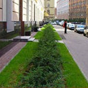 Благоустройство территории фото