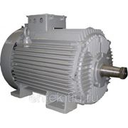 Крановый электродвигатель 4МТМ 400-L10 фото
