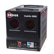 Стабилизатор Ergus Stabilia 5000 фото