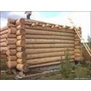 Реализация бревен оцилиндрованных фото