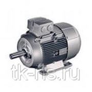 1LE1002-1CB03-4FB4 НИЗКОВОЛЬТ. К.З. Двигатель, IEC к.з. двигатель, Самоохлажд. ,IP55 Температ. класс155(F) В соотв. с 130(B) Алюминиевый корпус фото
