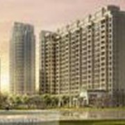 Топогеодезические изыскания фото