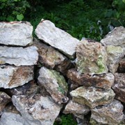 Известняк фото