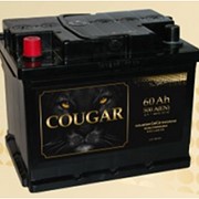 Аккумуляторная батарея Cougar 60 Ач фото