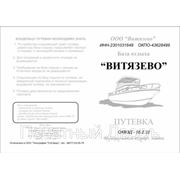 Печать на ризографе (тиражирование) фото