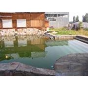 Проектирование и строительство садовых водоемов фото