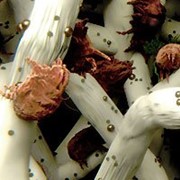 Уничтожение клопов, их дезинсекция, борьба с клопами в Зеленограде фото