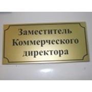 Именная офисная табличка на дверь 200 х 100 фото
