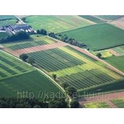 Распродажа земель в СПб и Л.О. под жилую и деловую застройку фото