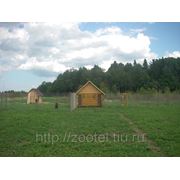 Гостиница для больших и средних собак «ЗооЭкоОтель» фото