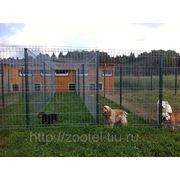 Номера с автономным подогревом и терраса с подогревом полов для маленьких и средних собак фото